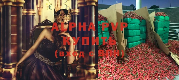 стафф Алзамай