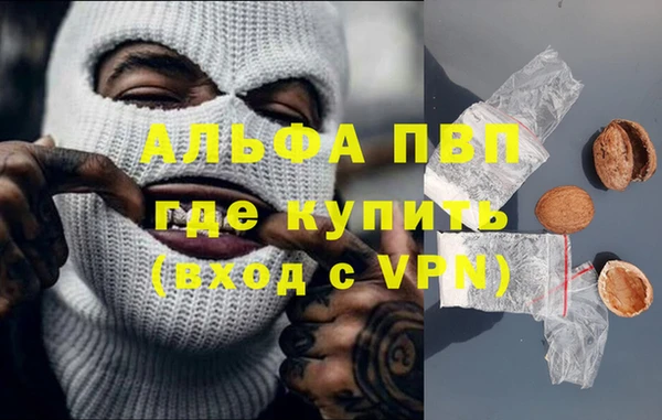 дживик Пестово