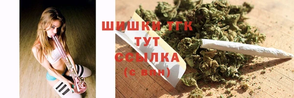 стафф Алзамай