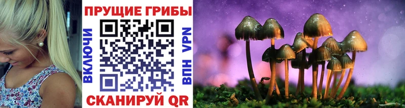 Псилоцибиновые грибы мицелий  kraken маркетплейс  Алексеевка  купить  